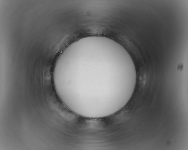 X0000111780516200908131351