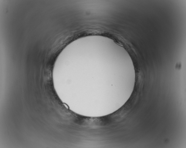 X0000111780517200908131351