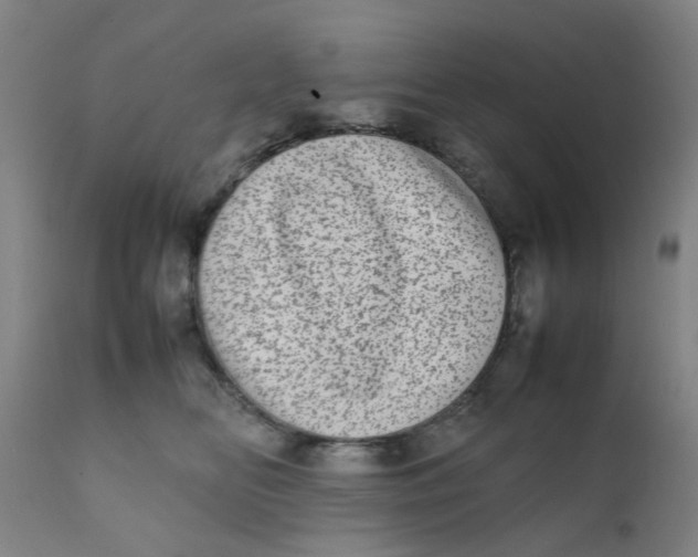 X0000111780518200908131351