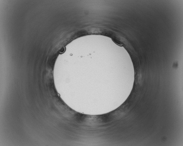 X0000111780521200908131351