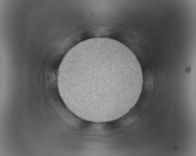 X0000111780523200908131351