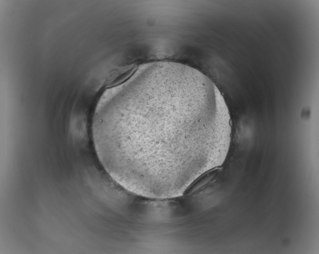 X0000111780524200908131351