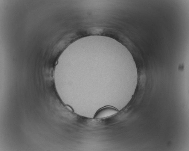 X0000111780525200908131351