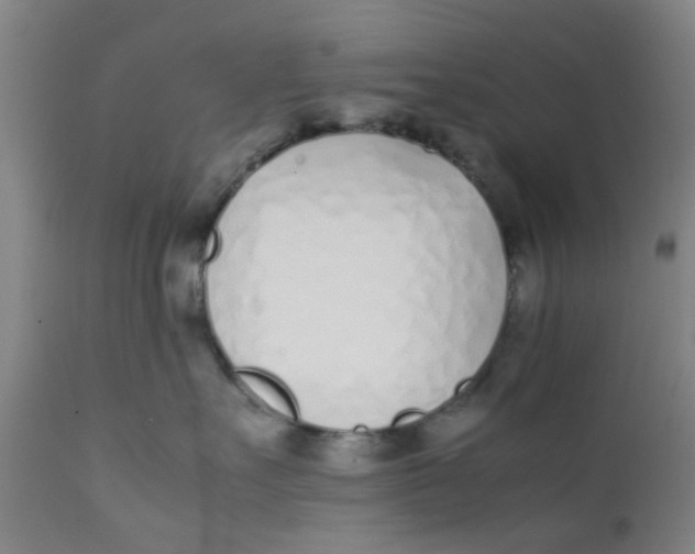 X0000111780527200908131351