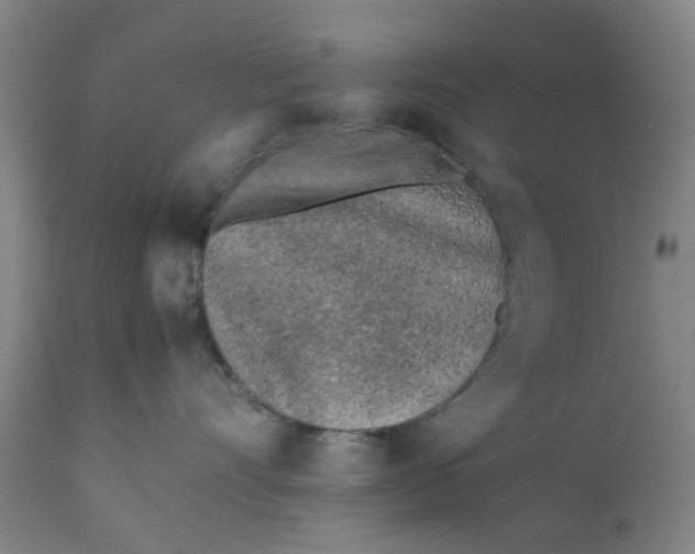 X0000111780528200908131351