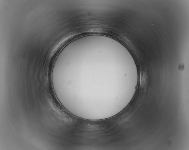 X0000111780531200908131350