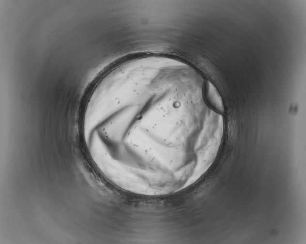 X0000111780532200908131350
