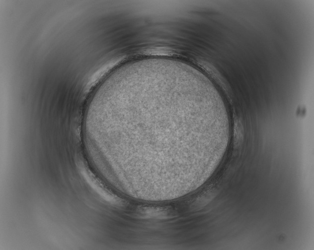 X0000111780533200908131350
