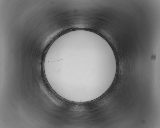 X0000111780535200908131350