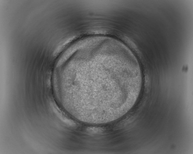 X0000111780537200908131351