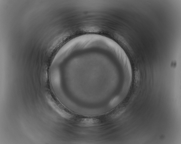 X0000111780541200908131351