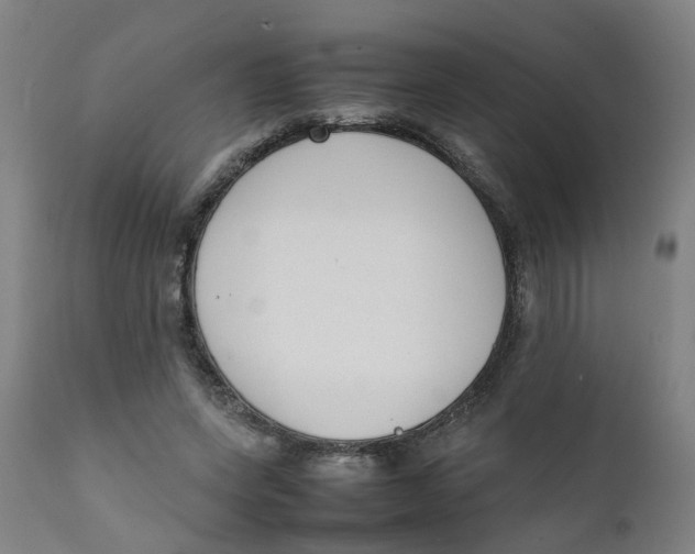 X0000111780543200908131351