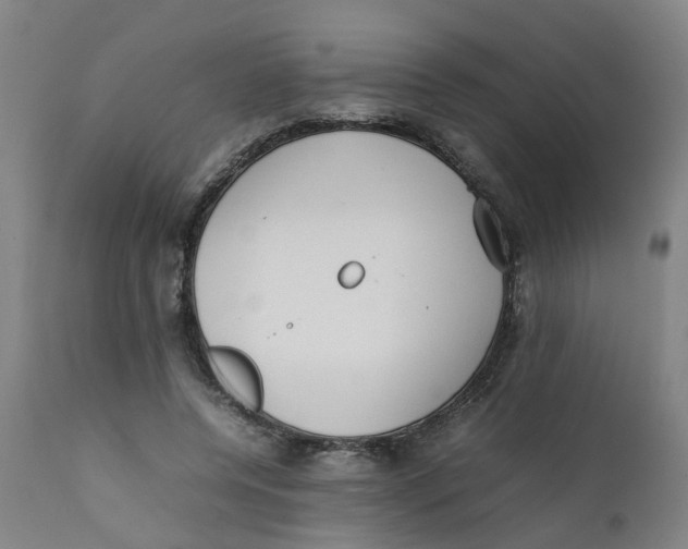 X0000111780544200908131351