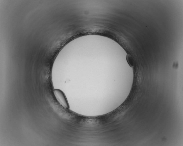 X0000111780546200908131351