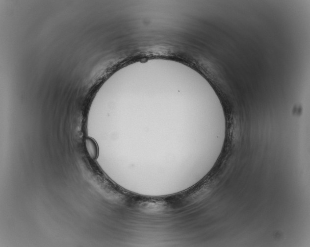 X0000111780548200908131351