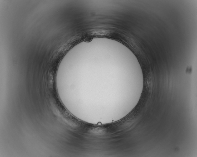 X0000111780551200908131351