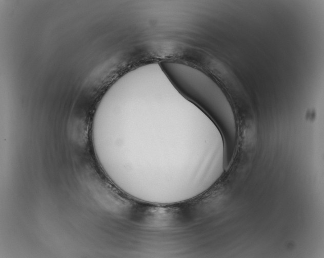 X0000111780558200908131351