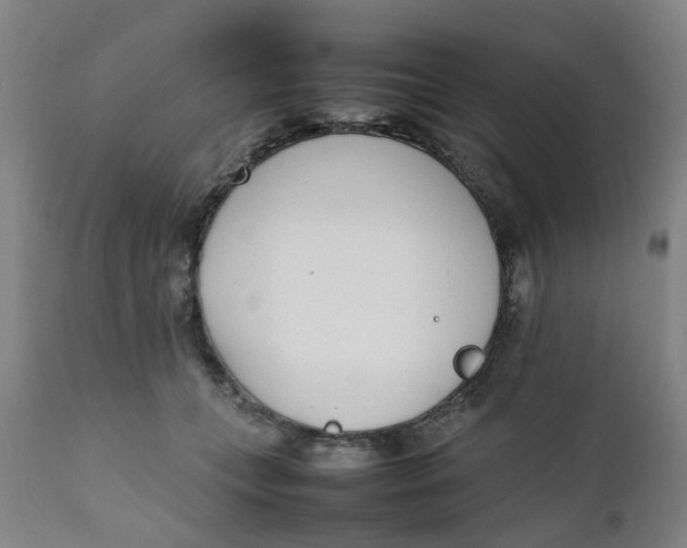 X0000111780559200908131351