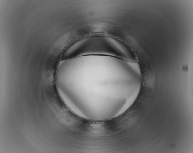 X0000111780560200908131351