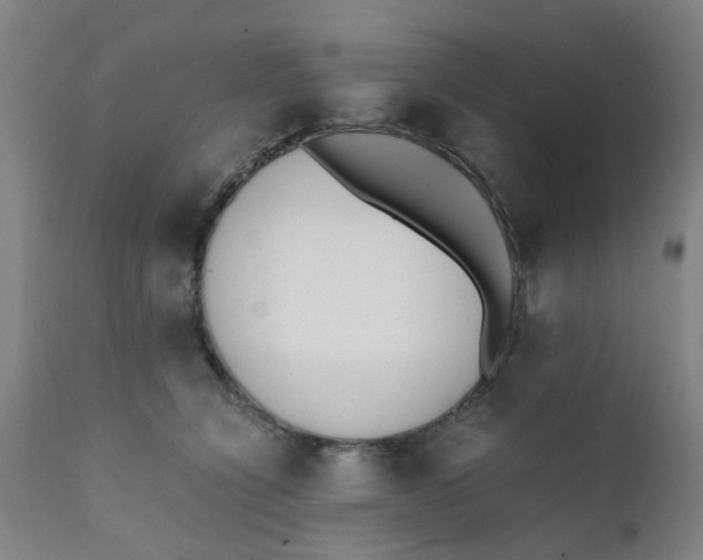 X0000111780564200908131351