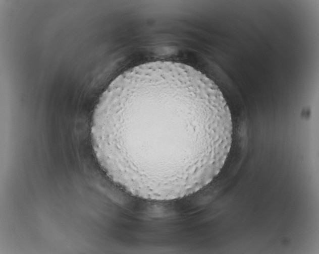 X0000111780565200908131351