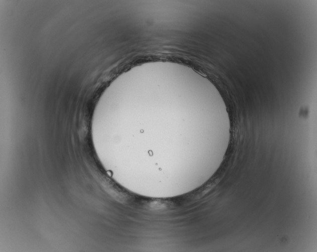 X0000111780566200908131351