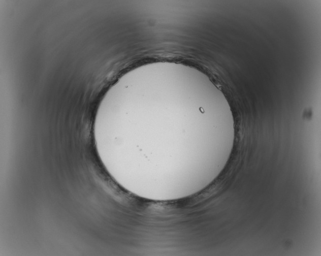 X0000111780568200908131351