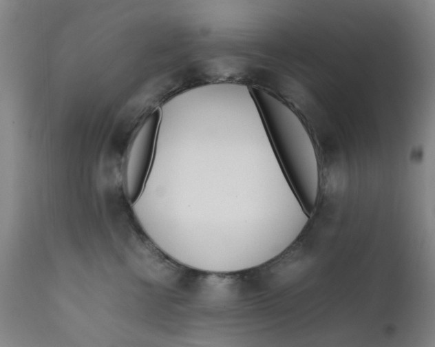 X0000111780570200908131351