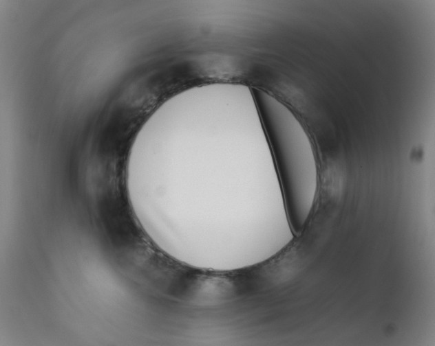 X0000111780572200908131351