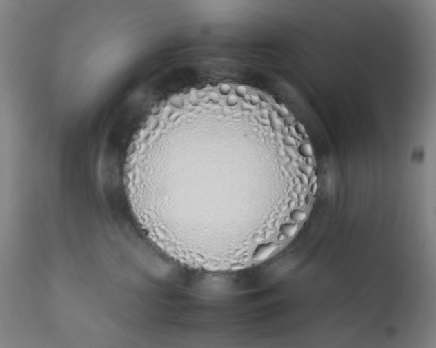X0000111780573200908131351