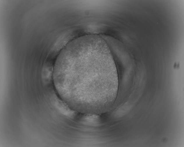 X0000111780576200908131351