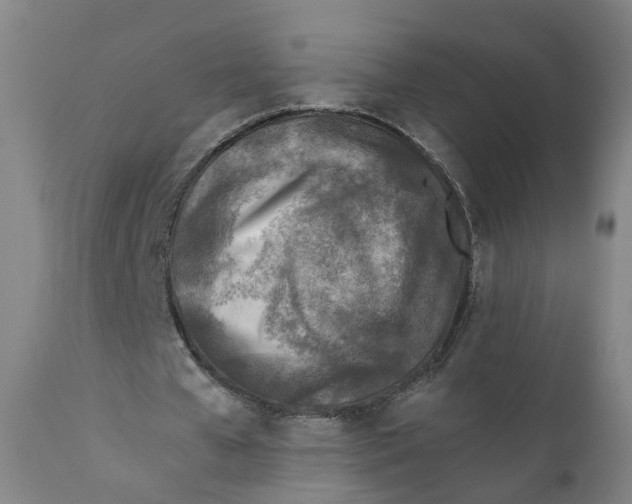 X0000111780577200908131350