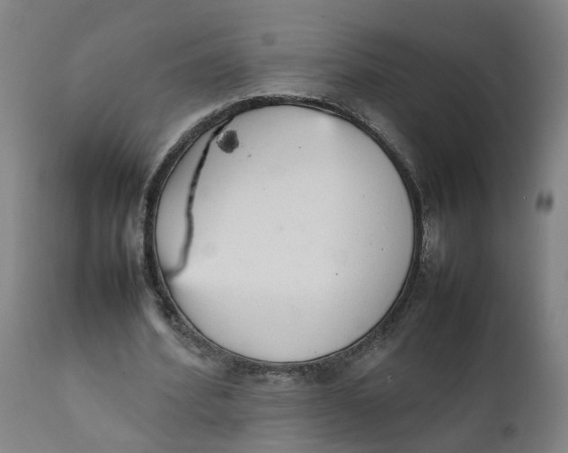 X0000111780580200908131350