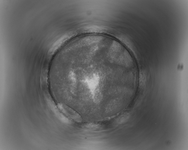 X0000111780581200908131350