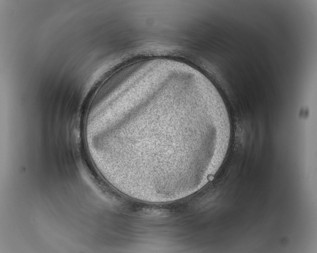 X0000111780582200908131350