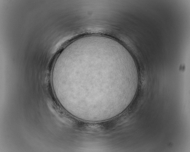 X0000111780583200908131350