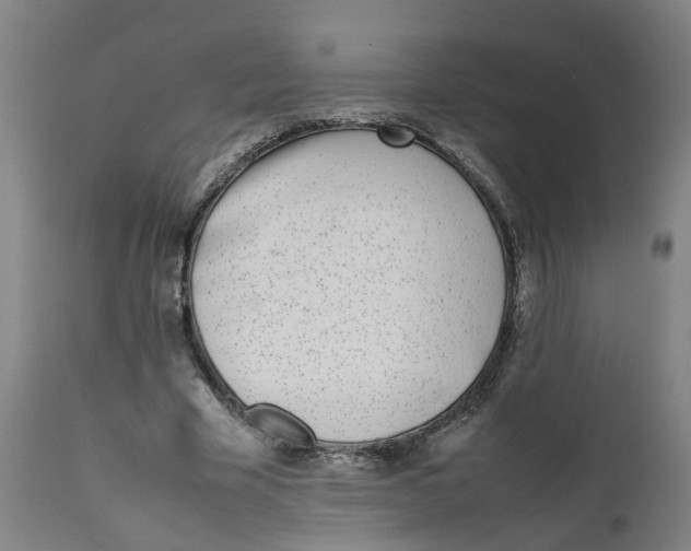 X0000111780585200908131350