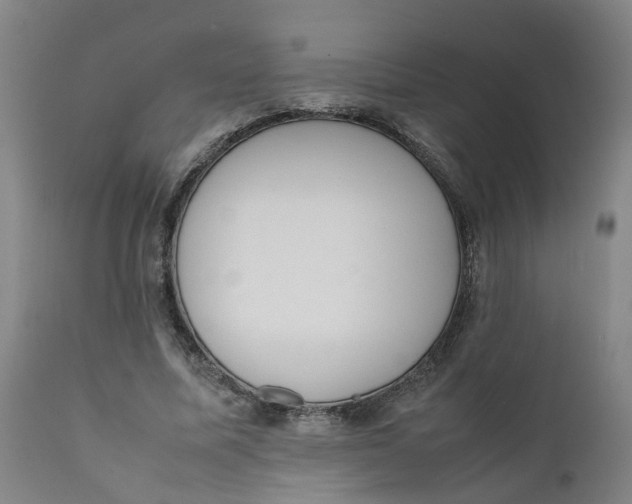 X0000111780587200908131350