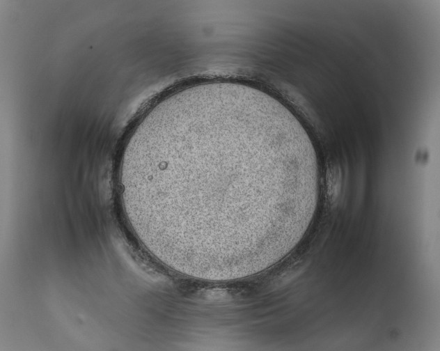 X0000111780588200908131350