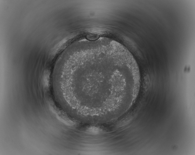 X0000111780596200908131350
