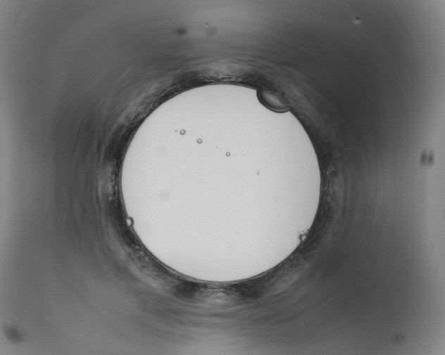 X0000111780597200908131350