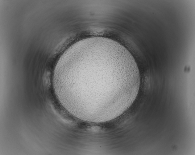 X0000111780598200908131350