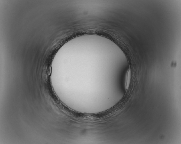 X0000111780599200908131350