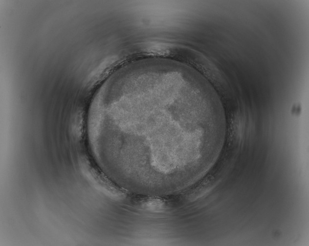 X0000111780600200908131350