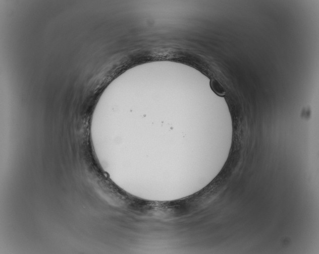 X0000111780601200908131350