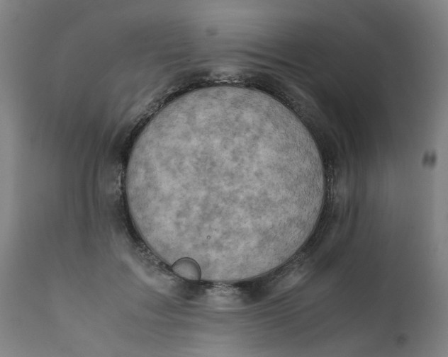 X0000111780603200908131350