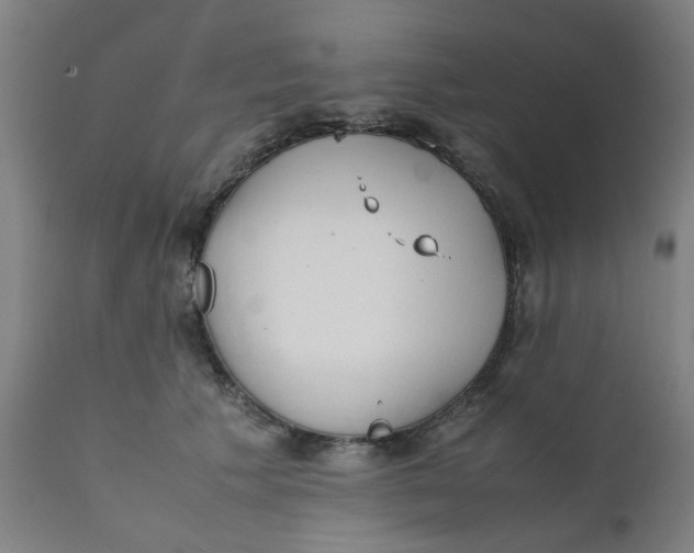 X0000111780609200908131350