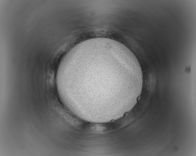 X0000111780610200908131350