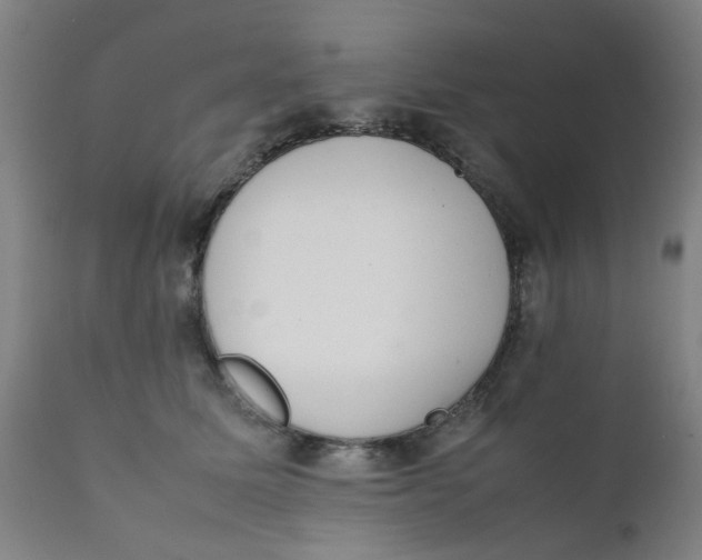 X0000111780611200908131350