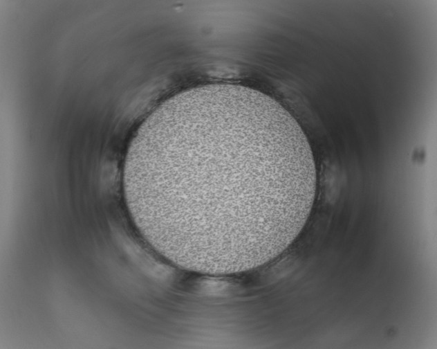 X0000111780614200908131350